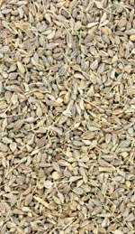 Anise Seed Oil Relieves Flatulence and Indigestion