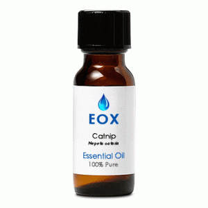 Catnip Essential Oil